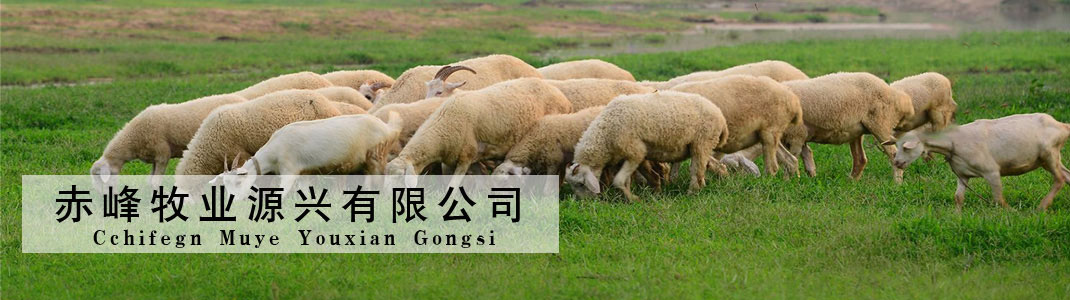 招投標(biāo)項(xiàng)目推薦